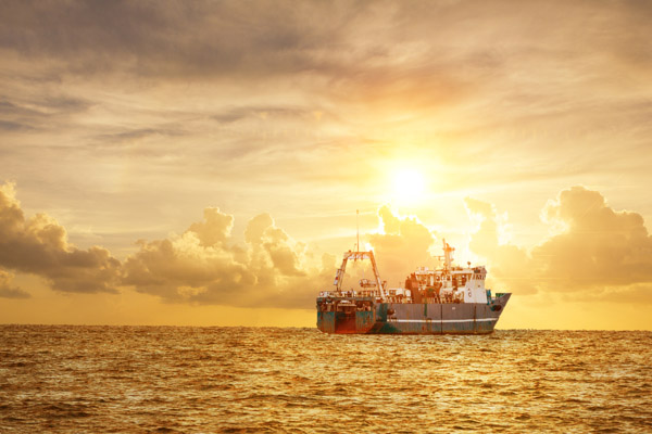 中集世聯(lián)達(dá)物流服務(wù)(上海)有限公司 中集世聯(lián)達(dá)物流服務(wù)(上海)有限公司