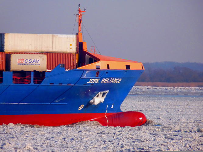 寧波椰棕板進(jìn)口報(bào)關(guān)代理 寧波椰棕板進(jìn)口報(bào)關(guān)代理