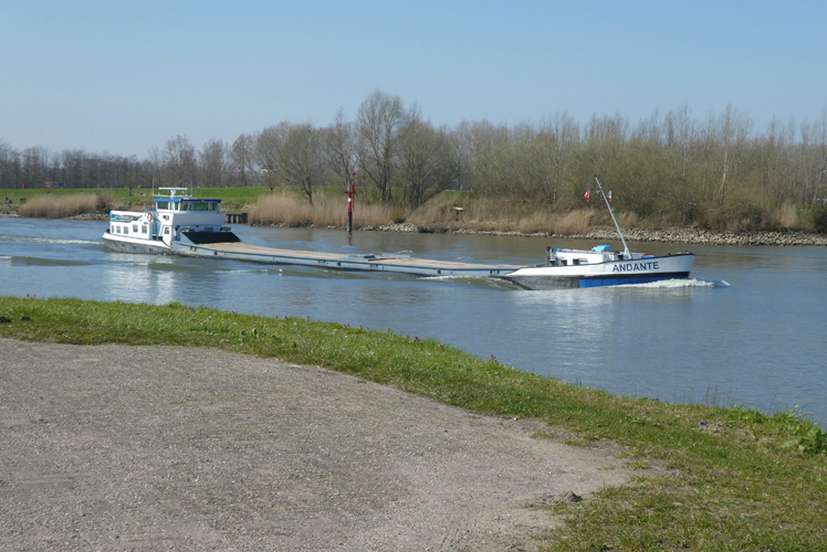 堅果進口到上海報關(guān)流程 堅果進口到上海報關(guān)流程