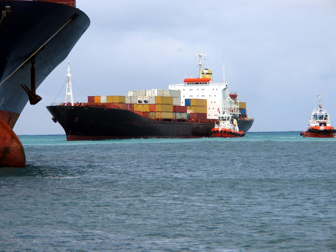 寧波進(jìn)口海參報(bào)關(guān) 寧波進(jìn)口海參報(bào)關(guān)