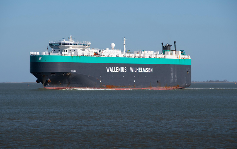 上海報(bào)關(guān)要單獨(dú)發(fā)艙單嗎 上海報(bào)關(guān)要單獨(dú)發(fā)艙單嗎