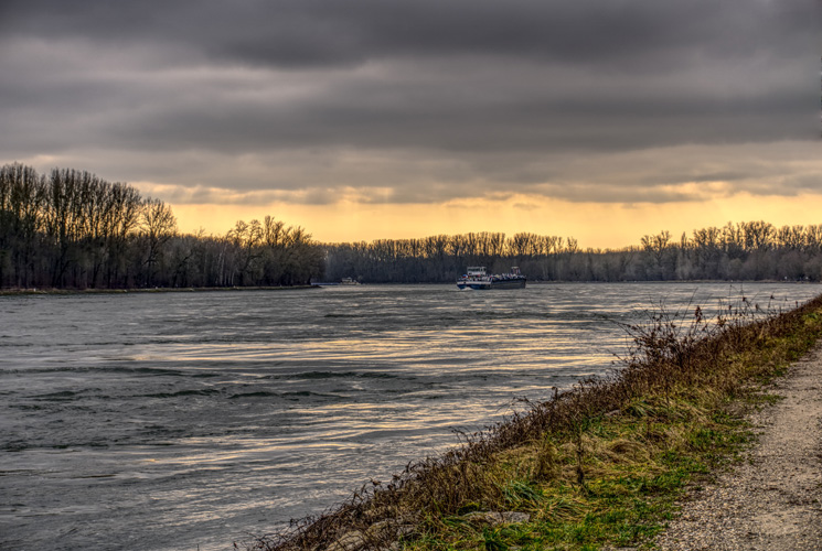 中國新能源汽車出口現(xiàn)狀