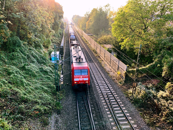 車在上海報(bào)關(guān)多少錢