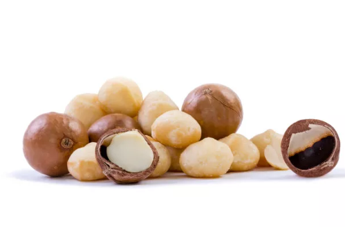 夏威夷果進口報關(guān)