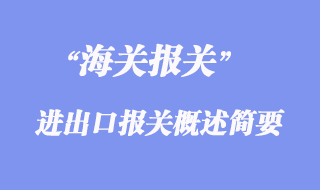 進(jìn)出口報(bào)關(guān)概述簡要