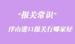 洋山港口報關(guān)行哪家好?