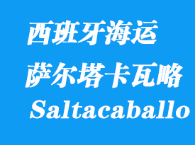 西班牙海運(yùn)港口:薩爾塔卡瓦略(Punta Saltacaballo)港口