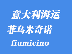 意大利海運(yùn)港口:菲烏米奇諾(fiumicino)港口