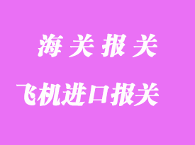 怎么辦飛機(jī)進(jìn)口報(bào)關(guān)手續(xù)？