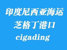 印度尼西亞海運港口：芝格?。╟igading）港口