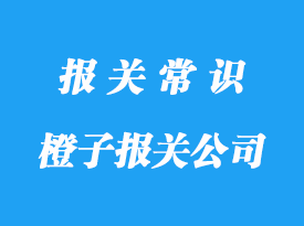 上海進(jìn)口橙子報關(guān)公司:南非等國家橙子清關(guān)注意事項(xiàng)